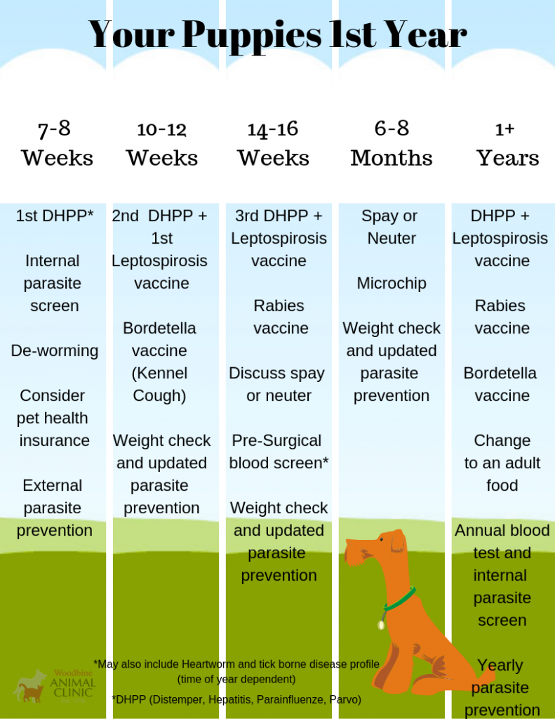 Vaccination Schedule For Puppies Ontario