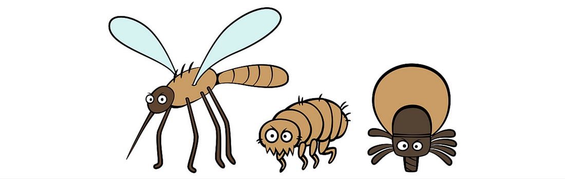 Pesky Pests: Part 3 of 3 – The Irritating