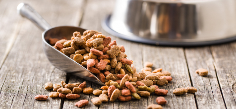 Are Grain-Free Diets A Good Idea For Your Pet?