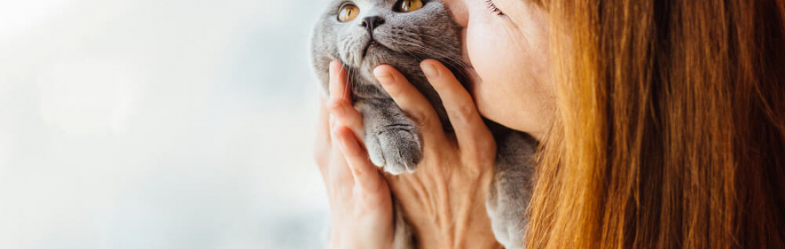 General Care Tips For Your Cat